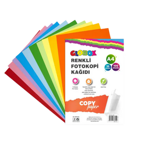 GLOBOX 3695  A4 RENKLİ FOTOKOPİ KAĞIDI 100'LÜ PAKET *24