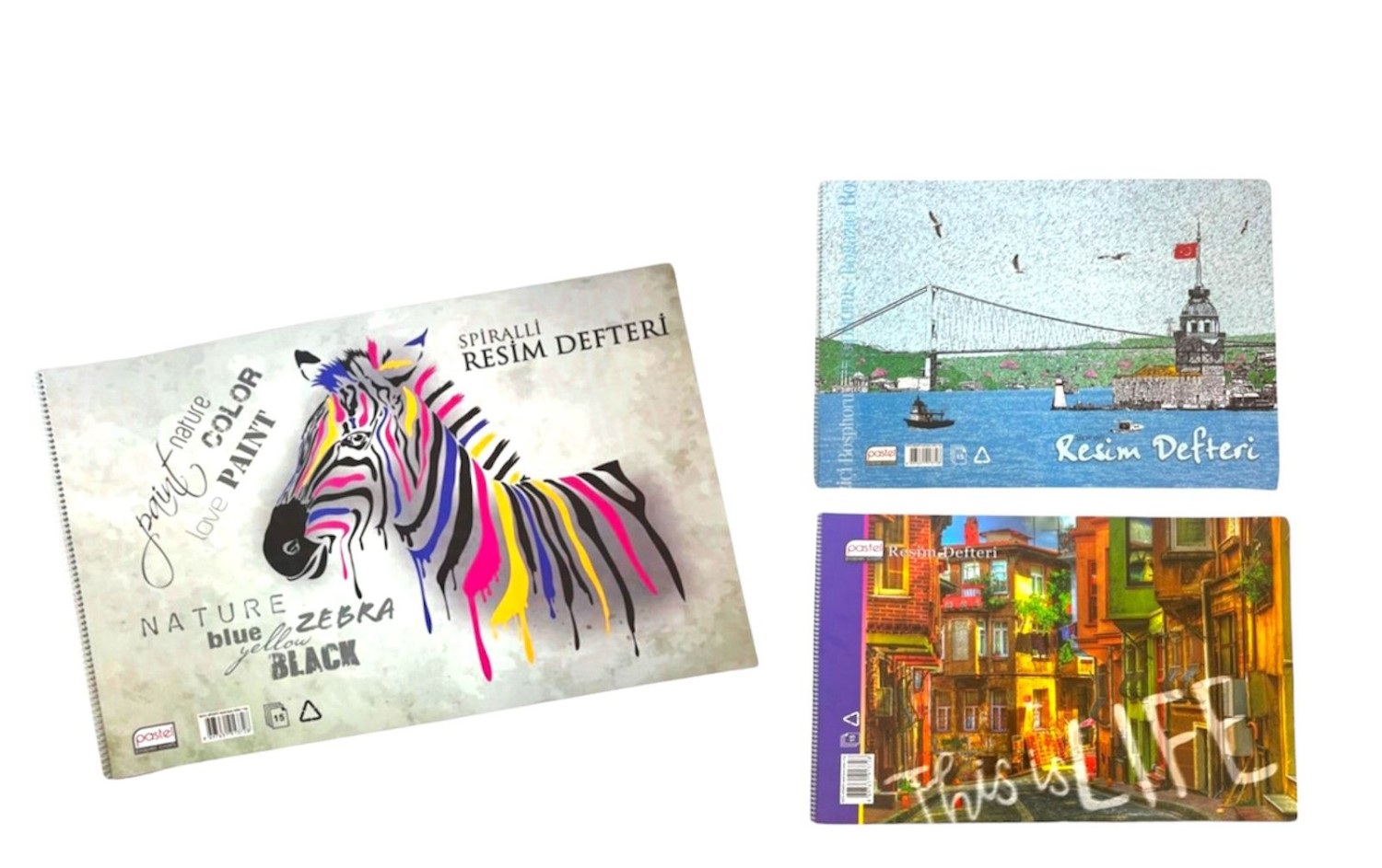 PASTEL KARTON KPK. RESİM DEFTERİ 35*50 SPİRALLİ *6 >