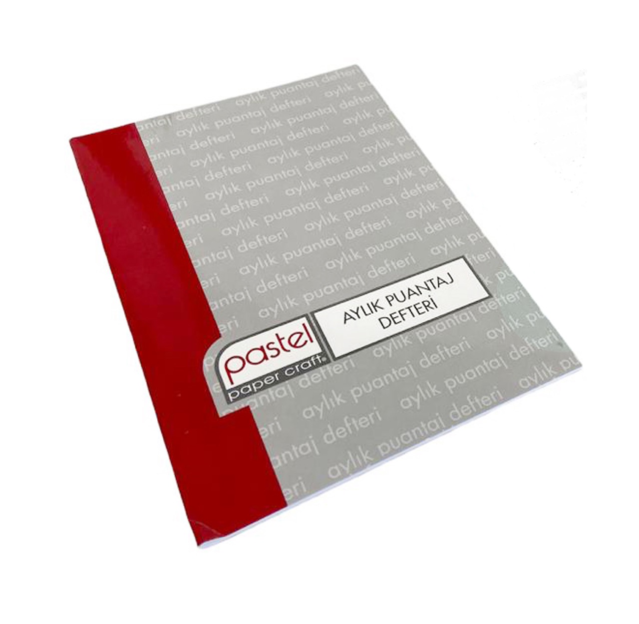 PASTEL BÜYÜK PUANTAJ DEFTERİ 24'LÜ *22************