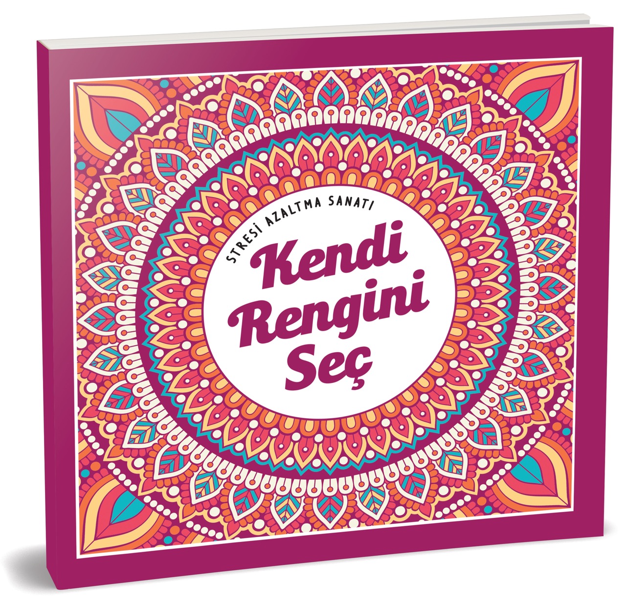 EMA KENDİ RENGİNİ SEÇ MANDALA